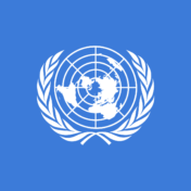 Briefing Paper: UN Convention on the Rights of Persons with Disabilities Inquiry