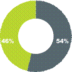 Pie chart divided into 46% and 54%