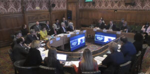 About 20 people are sat around a table in parliament. Simone speaks via video call. A screenshot from the recording of the Draft Mental Health Bill evidence session. 