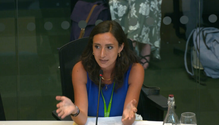Laura Vicinanza speaks at a transport committee